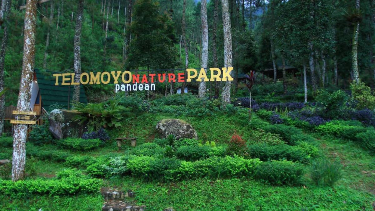 Telomoyo Nature Park: Menjelajahi Pesona Alam di Lereng Gunung Merapi